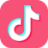 TikTok Icon